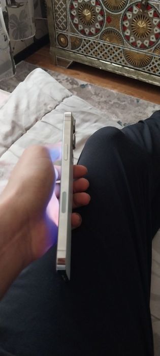 Iphone 13pro max