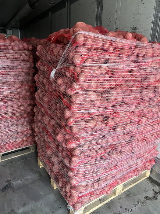 Cartofi/Polonia/Alb/Rosu/60+/SAC 10,15,20 kg/Orice Cantitate La Comandă/Calitate Extra Lux//SUNAȚI:0772248725//