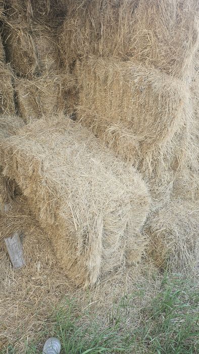 Продавам ливадно сено
