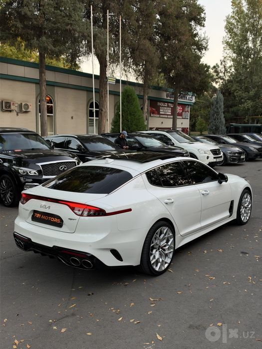 Kia Stinger GT Line  Mator - 3 Twin turbo