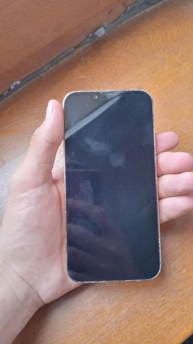 13 pro 128/76 350$