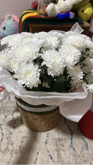 Гулдеееееееер солмаган