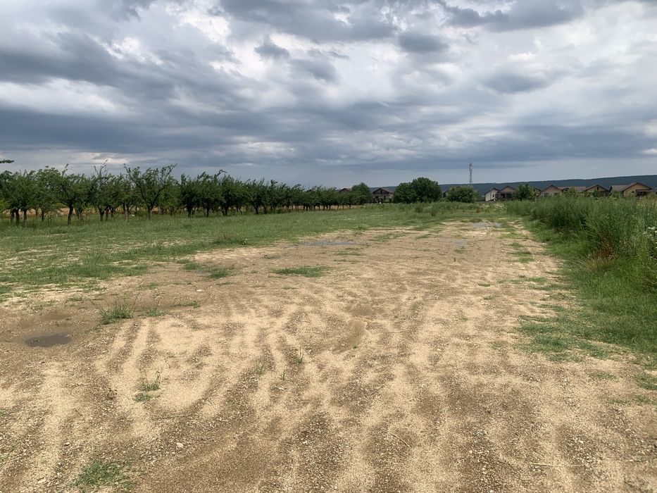 Teren intravilan Maracineni