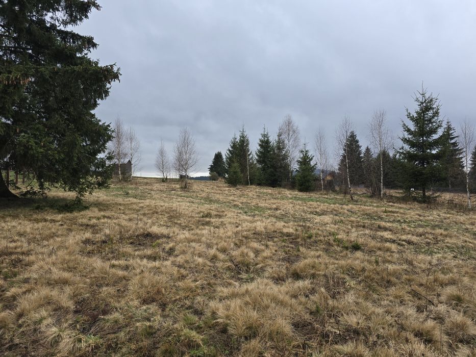 teren intravilan 3000 mp