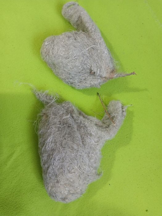 Құрқылтайдың ұясы бар,  5000тг