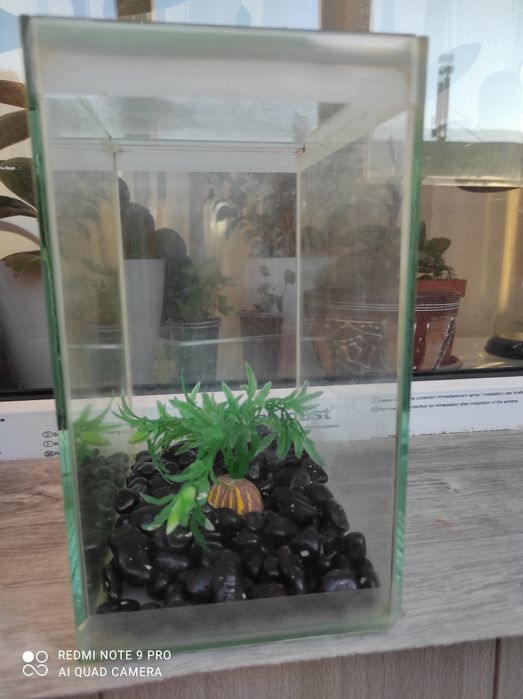 Аквариум для рыбок