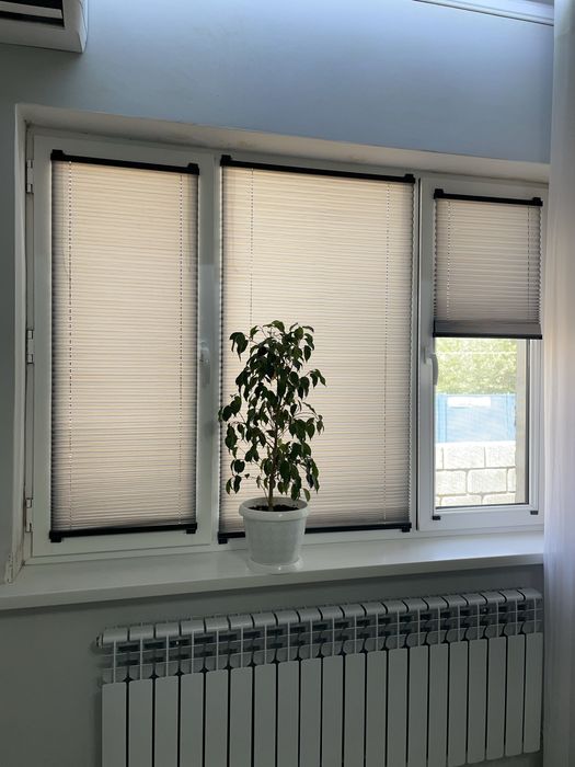 Жалюзи Шторы Ролл штор