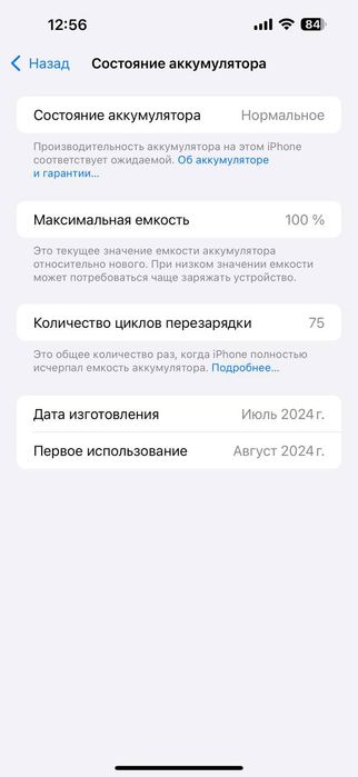 iPhone 15 Pro Max 256 Gb