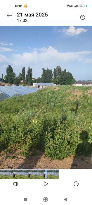 Участок Коктогане