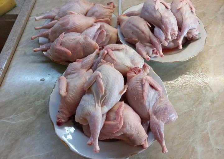Перепелиные мясо из собственной мини фермы