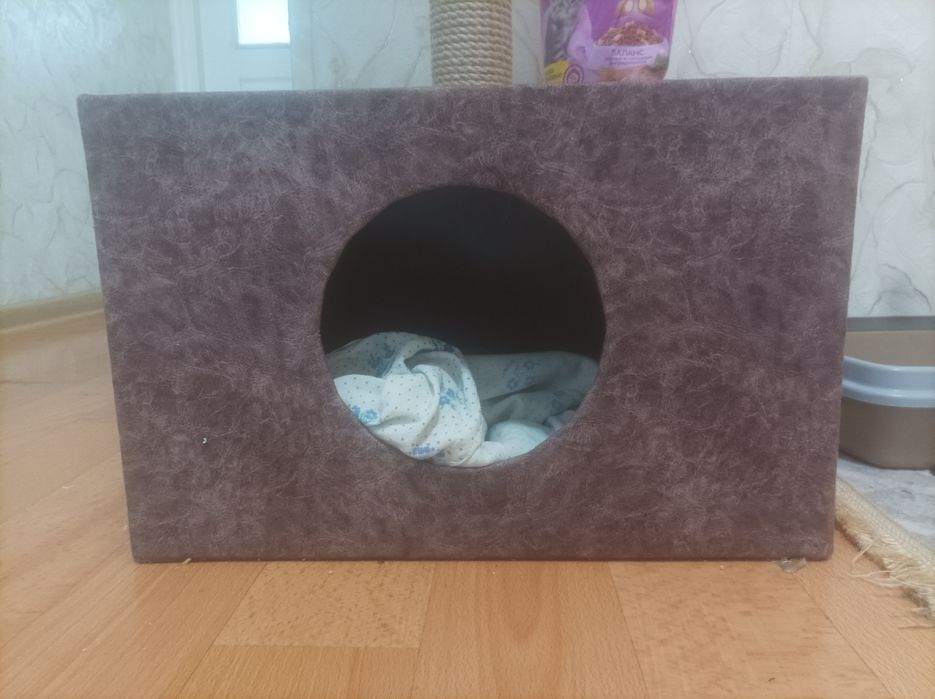 Продам для котят, кошки