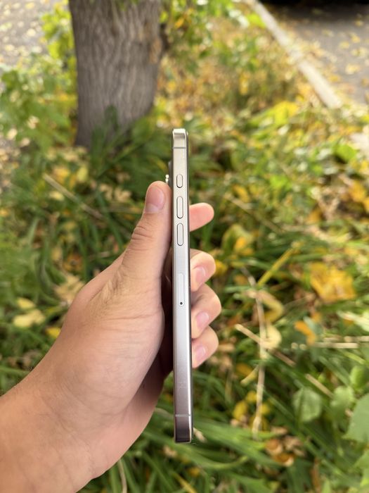 iPhone 16 Pro Max 256ГБ 100%АКБ