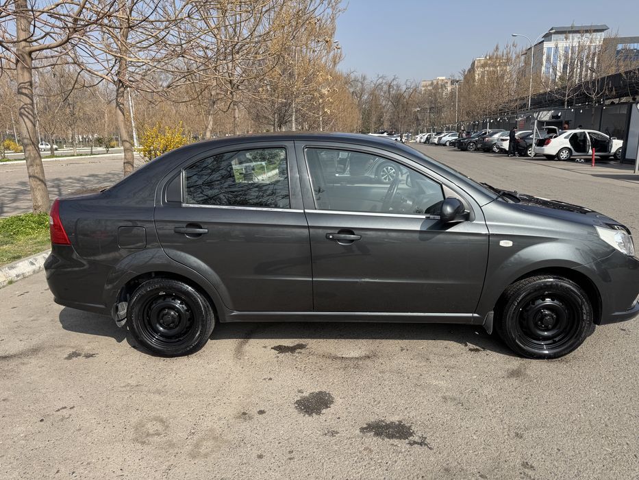 Arendaga Nexia 3 2018/2019 Mexanika kraskasi Tozza