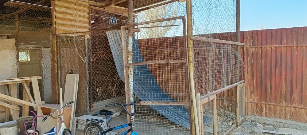 Самсунг855655гала