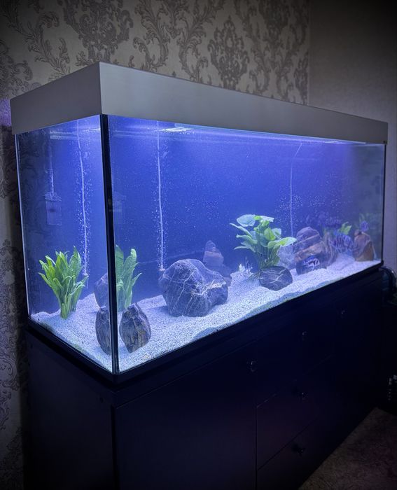 Аквариум Aquael 500л