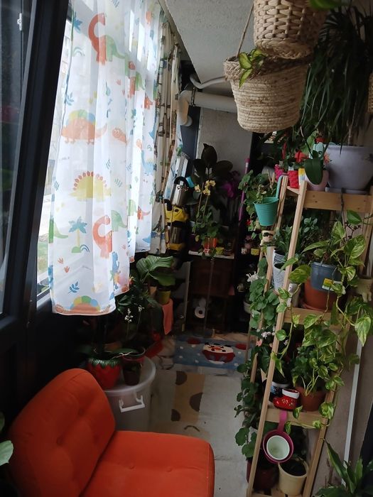 De vanzare apartament decomandat confort 1 București