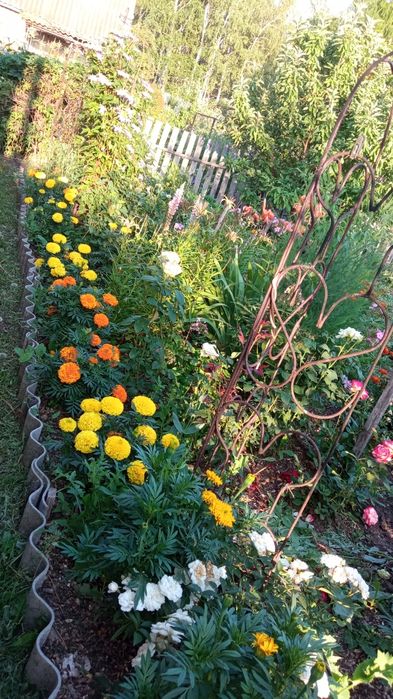 Продам дачу, реальному покупателю торг