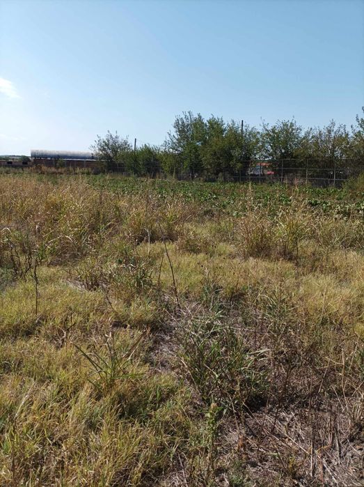 Продава се Земеделски имот в Димитровград -  кв.м за 6800 €/дка - Снимка #4