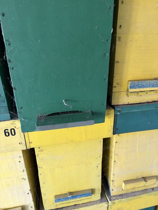 5 рамково съндъче за отводки