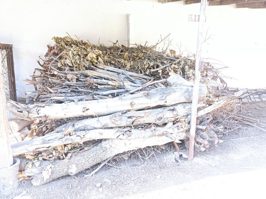 Утин сотилади ,енгок дарахтиники