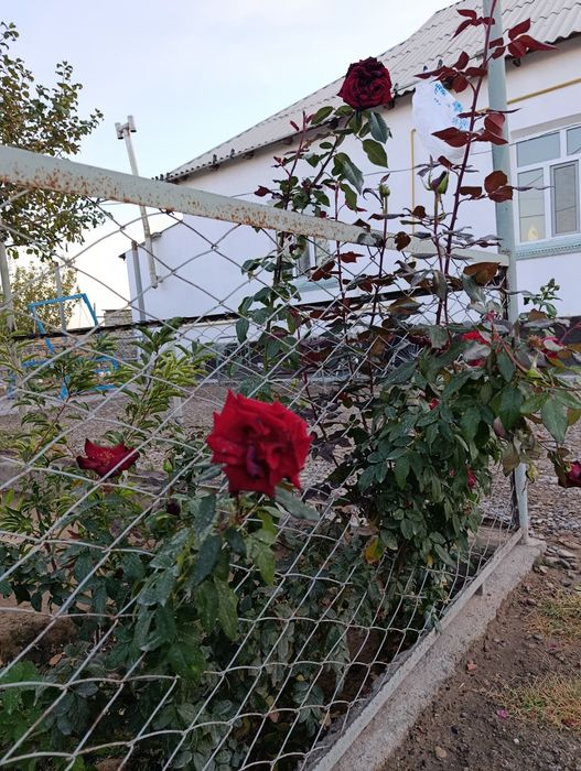 Үй сатылады. Дом продается.