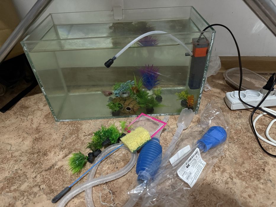 Ештене коймаймын