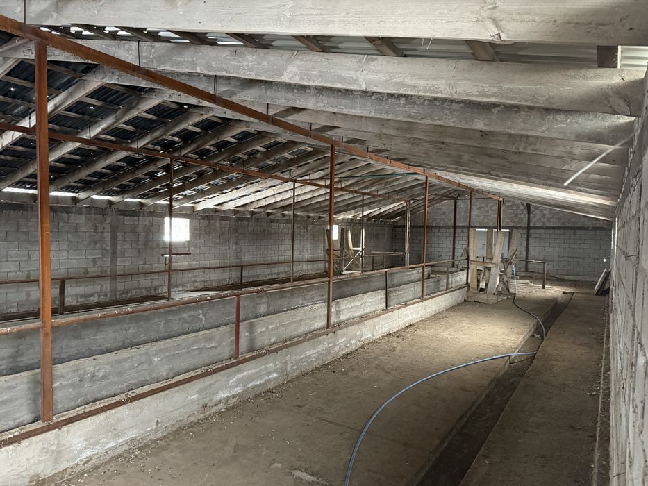 Продам ферму (фазенду)