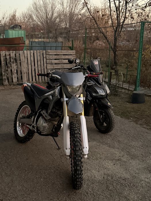 В продаже Kayo T2