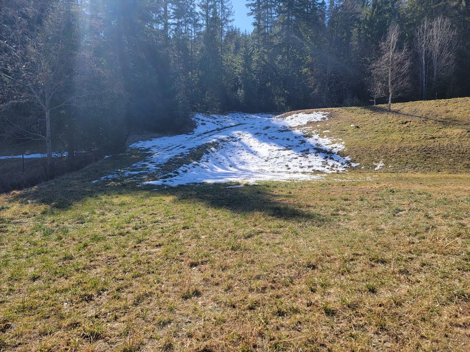 Teren intravilan cu o suprafata de 42 de ari in SUCEVITA.