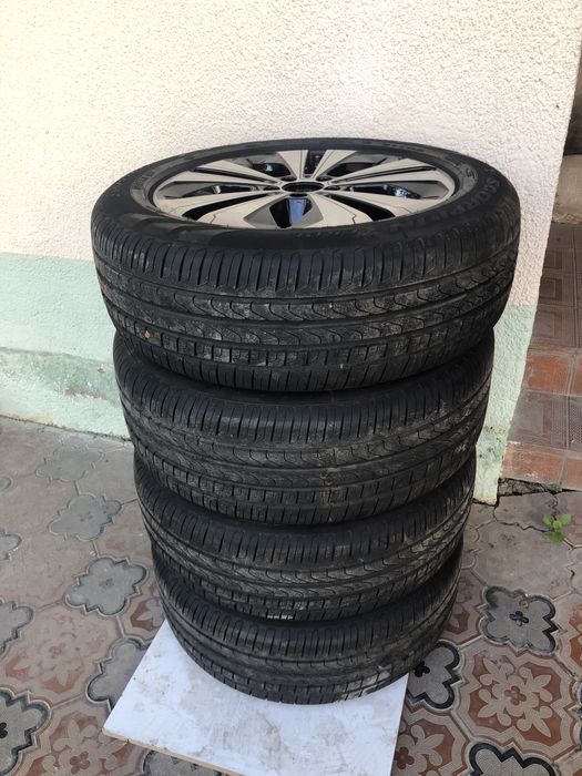 Сесознка балон немецкий