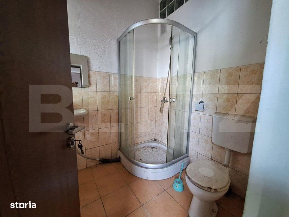 Proprietate de cazare, spatii comerciale, Lugoj
