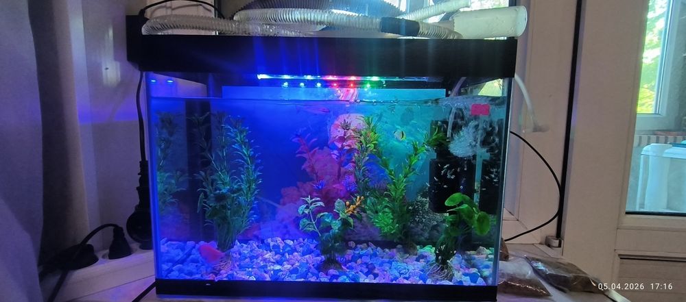 Продам аквариум объём 20л