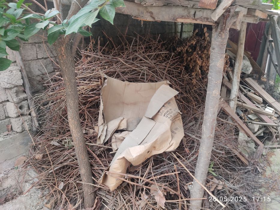 Ўтин сотилади. Продам дрова.