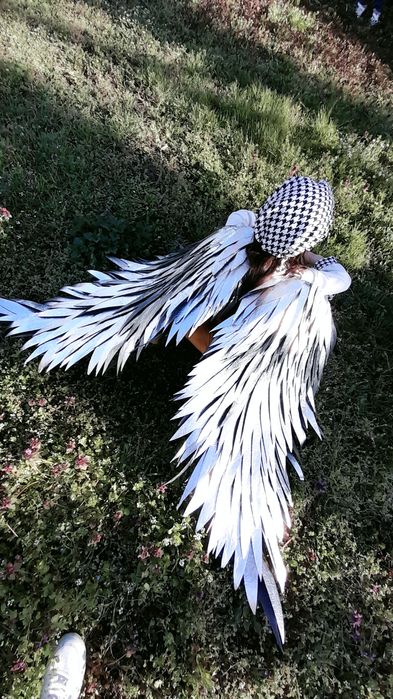 Крила за декорация 100 см.