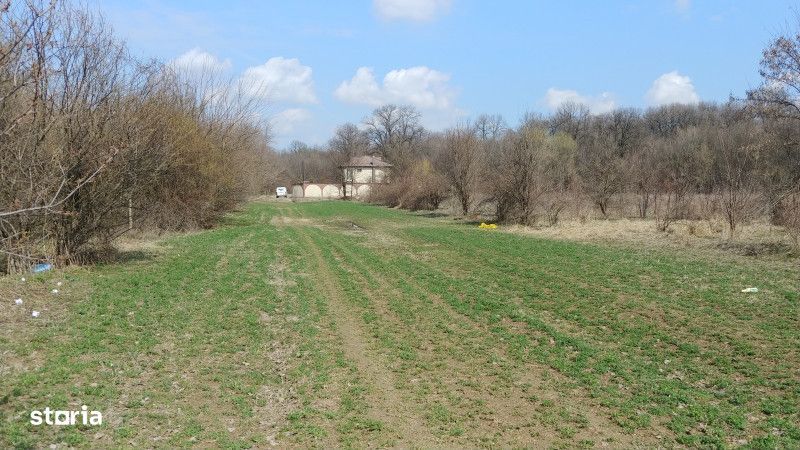 Teren intravilan Magurele langa padurea Cornetu si Arges