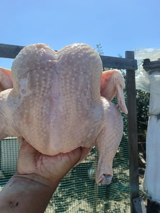Мясо бройлера домашнего