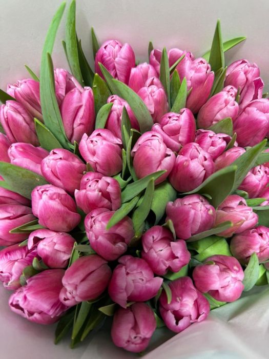 Продаются тюльпаны по дешевой цене