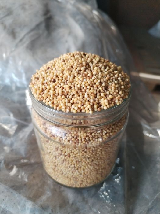 Жаңа қуырылған тары