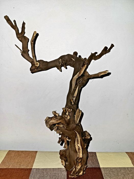 Vând cioate decor acvariu
