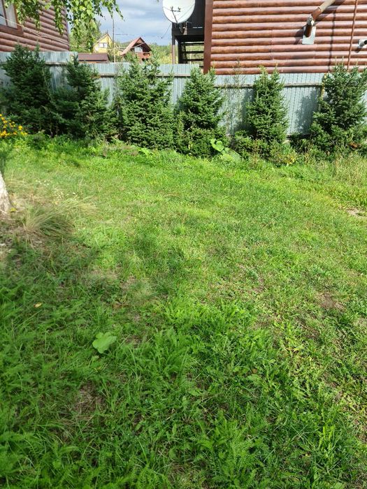 База отдыха на Бухтарме.