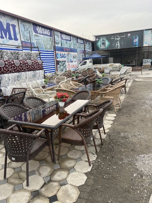 Toqima sitol sutular olami optim narxda