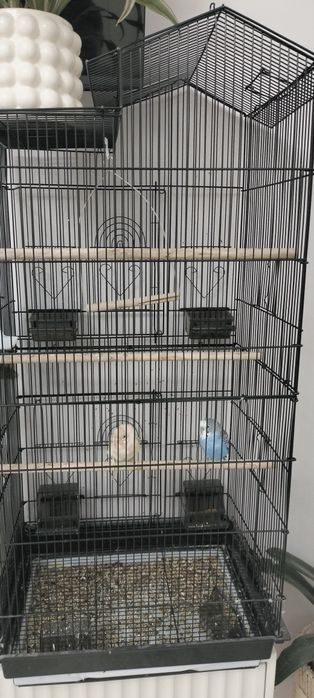 Большая клетка с попугаями