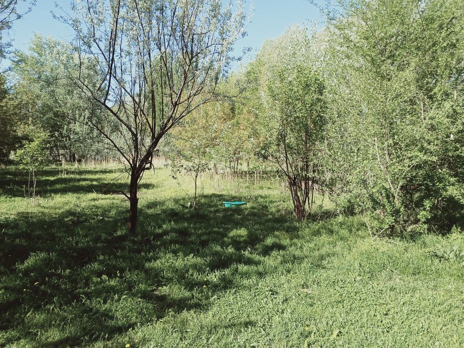 Улкен уи сатылады