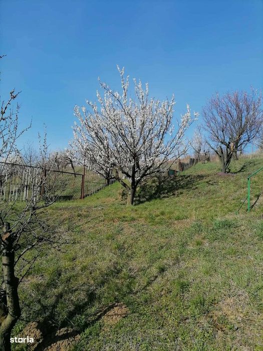 Teren intravilan de vânzare – Oradea, Strada Șanțului,