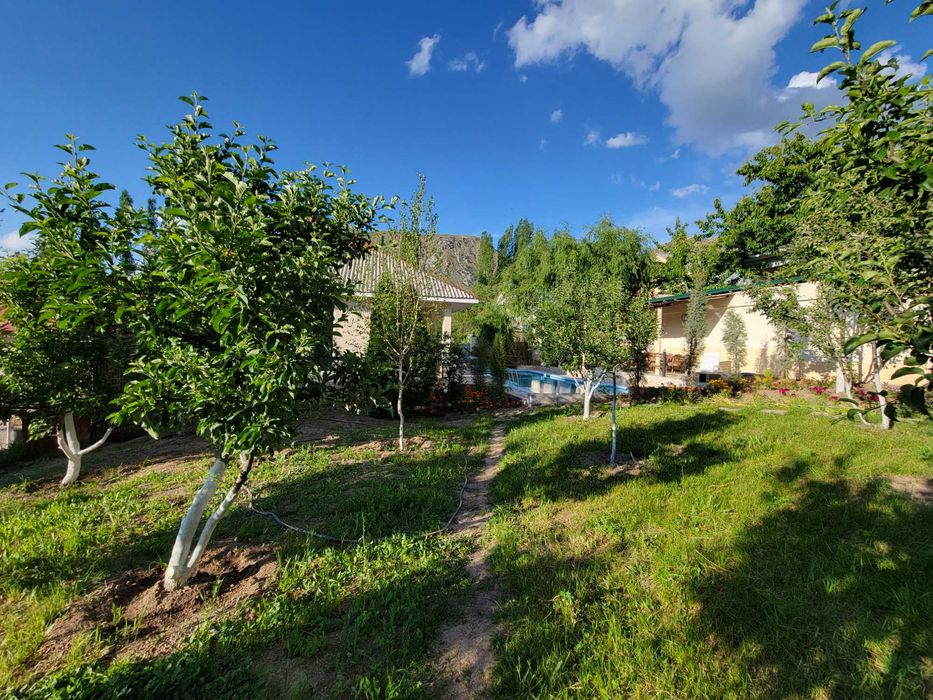 Продаю дачу в Чимгане (готовый бизнес)