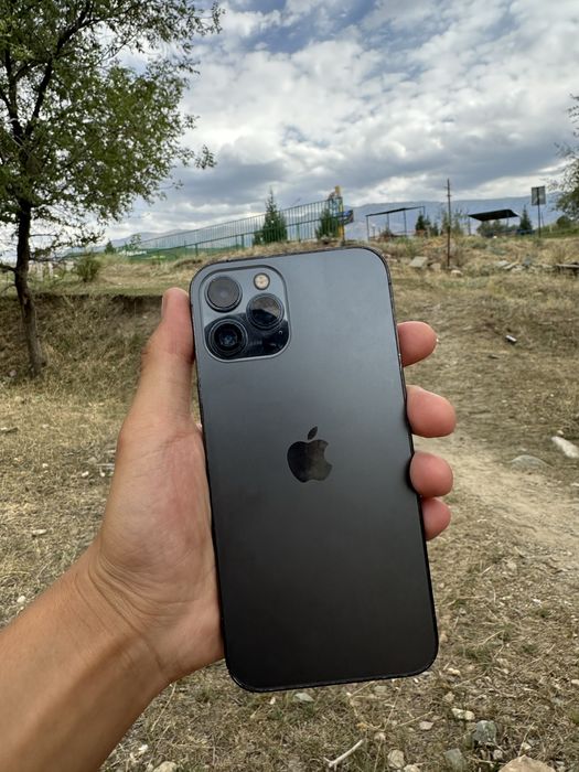 iPhone 12 Pro Max