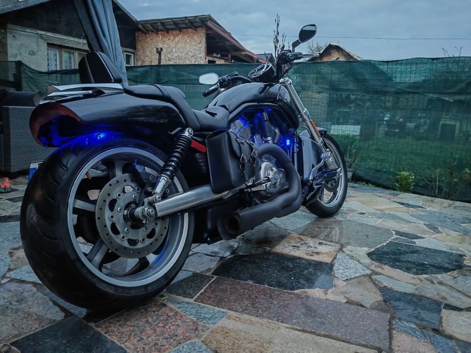 Harley-Davidson 1250 v-rod muscle vrscf