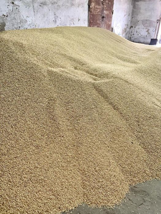 4600тг. Мешок 40кг. Ячмень Арпа