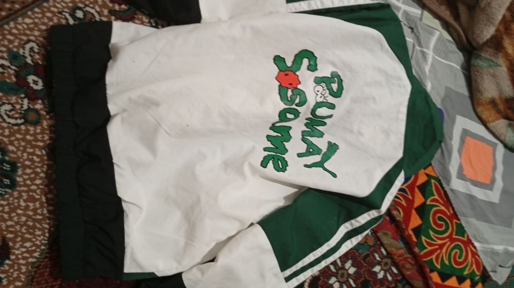 Мужская ветровка