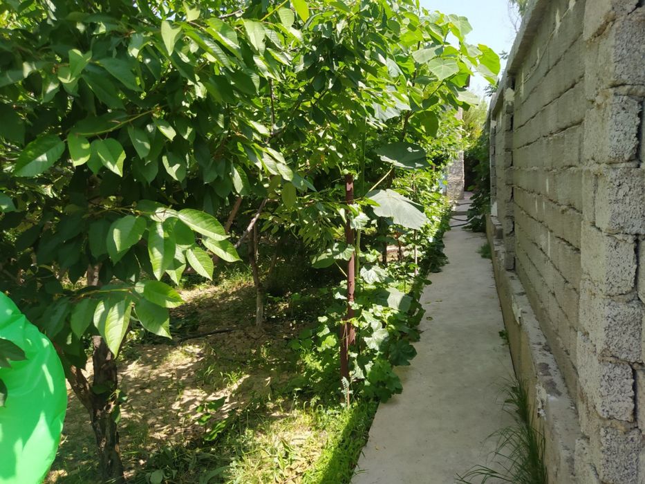 Продаётся своя дача Паркент